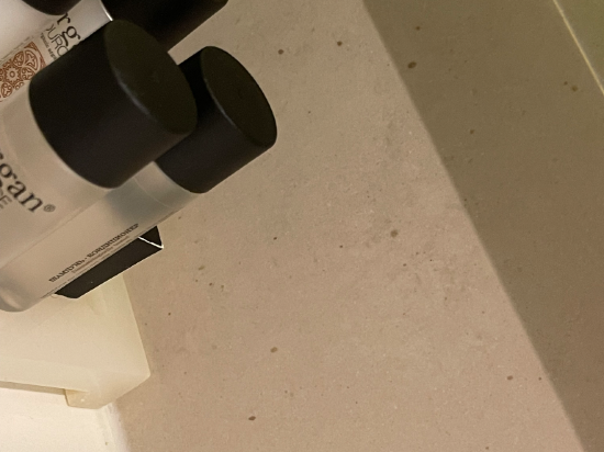 莫斯科謝諾梅傑沃機場麗笙藍標酒店優惠