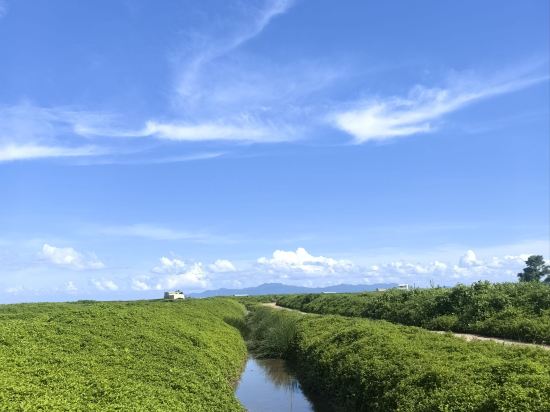 台山倮泉塢温泉別墅優惠