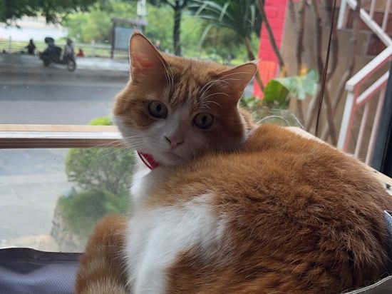 玖米宿江（桂林兩江四湖東西巷店）優惠