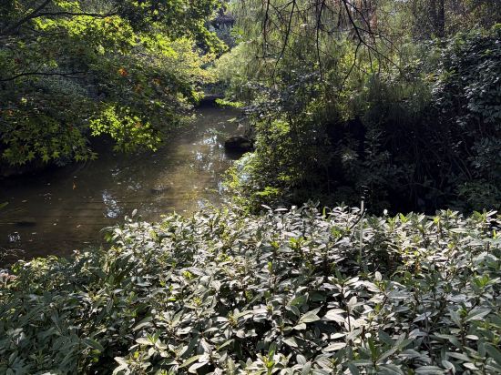 昆明千尋墨問禪意酒店優惠