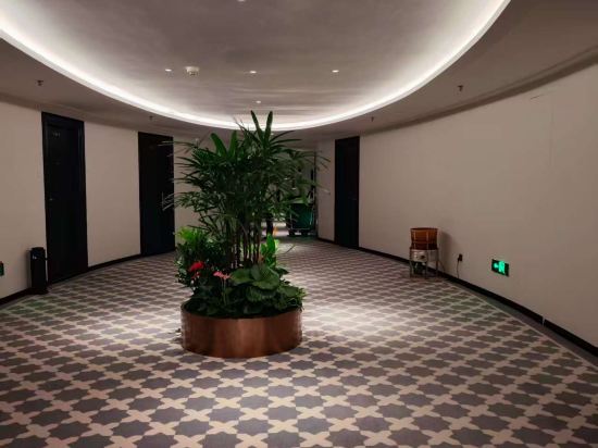 廈門天鵝大酒店優惠