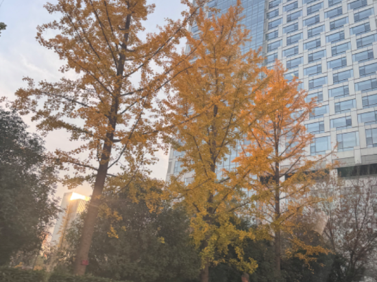 西安經開洲際飯店優惠