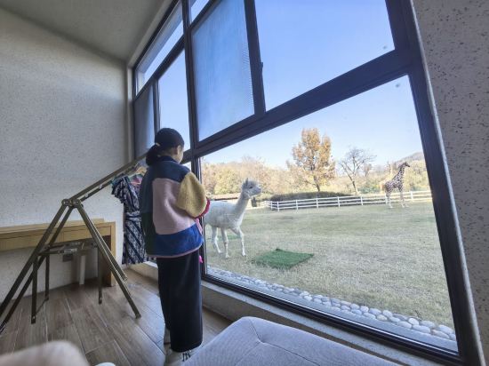 南京紫清湖温泉度假酒店優惠