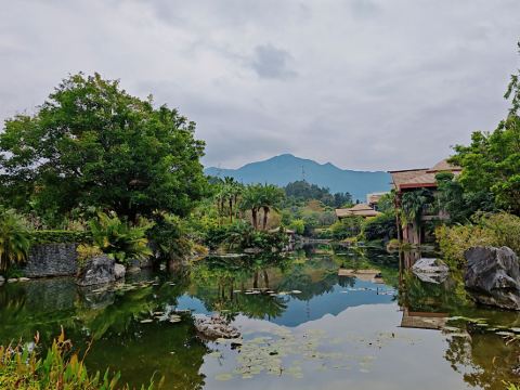 廣州都喜泰麗温泉度假酒店優惠