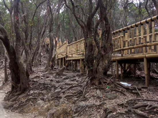 淡邊中心酒店優惠