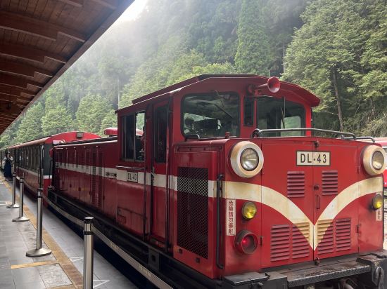 嘉義阿里山神木賓館優惠
