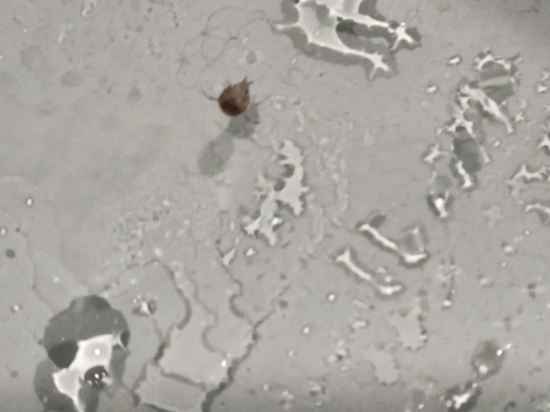 上海外灘雅緻飯店優惠