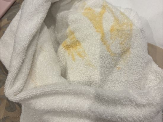 貝維德雷酒店優惠