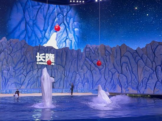 珠海長隆企鵝酒店優惠