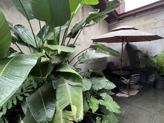 花築奢·Raw酒店（金馬碧雞翠湖昆明店）優惠