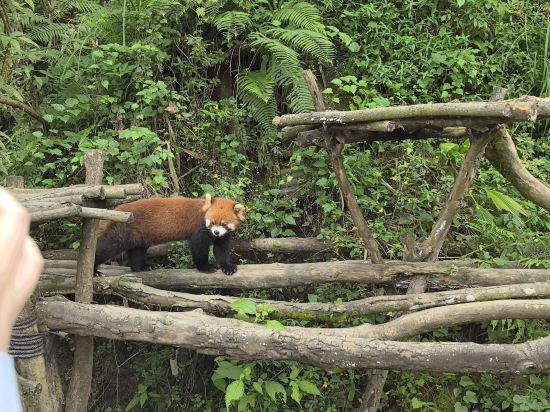 雲孚裏雲宿（都江堰南橋雲居）優惠