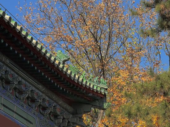 北京怡亨酒店優惠