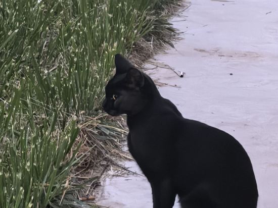 烏魯木齊海華酒店優惠