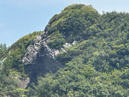 ホテル浦島 クーポン