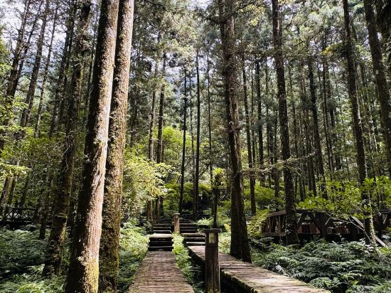 宜蘭大同明池山莊（明池森林遊樂區）優惠