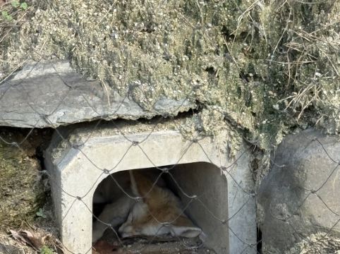 ホテル平安の森 京都 クーポン