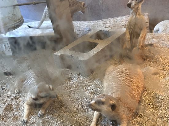 宜蘭綠舞國際觀光飯店優惠