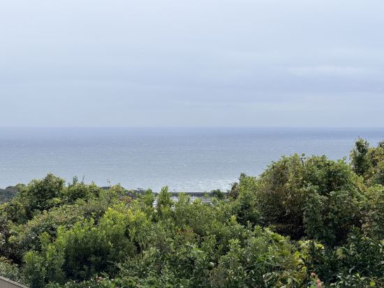 伊東高原龜之井飯店優惠