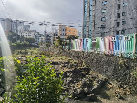 濟州島楓樹酒店優惠