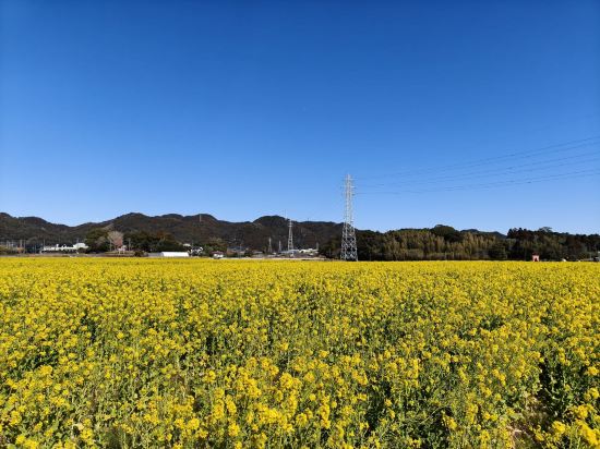 鴨川館 クーポン