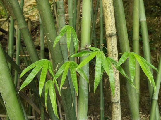 漫州酒店（黔西水西公園店）優惠