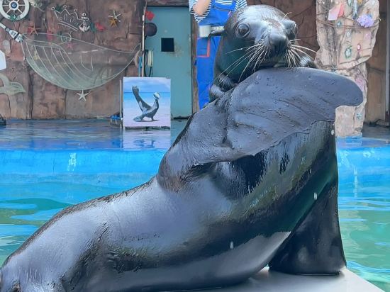 廈門靈玲大飯店優惠