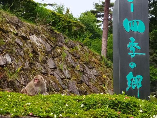 ほりでーゆ～四季の郷 クーポン