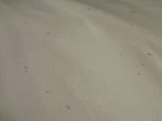 호텔 마누 쿠폰