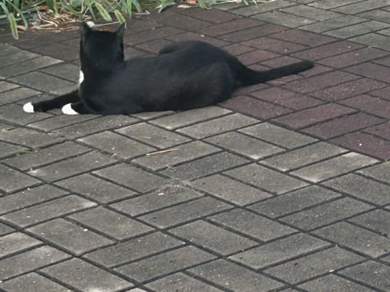 新村佳溫青年旅館優惠