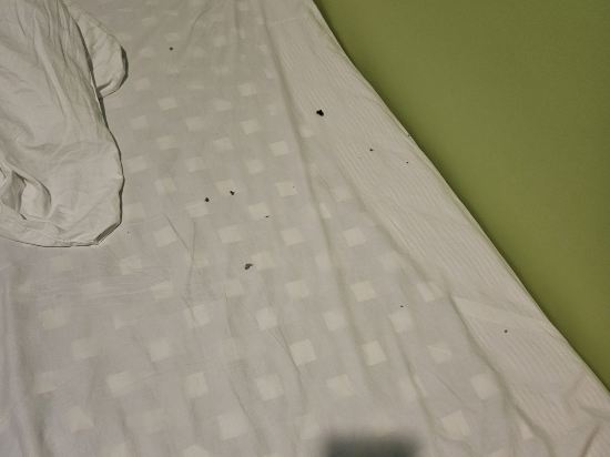 香港星星酒店優惠