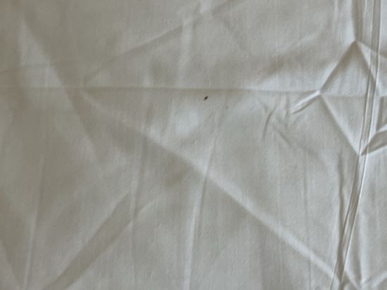 雅樂軒浮羅交怡潘塔登加酒店優惠