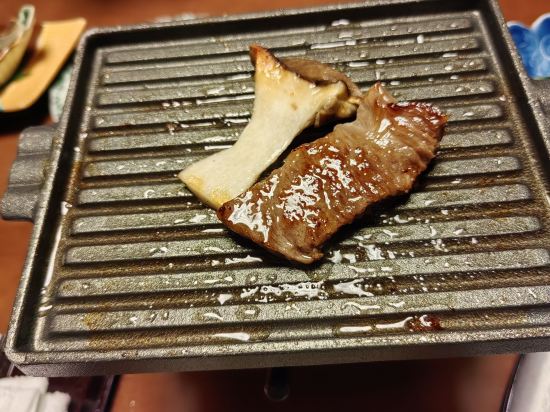 下呂溫泉 湯之島館優惠