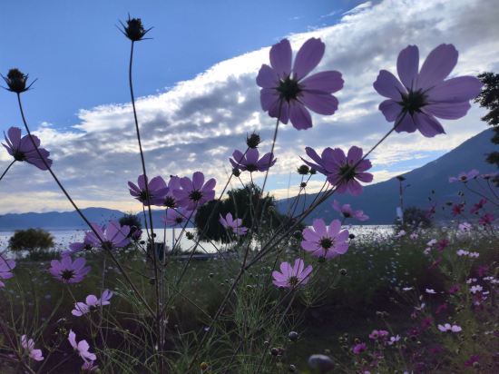 瀘沽湖晏坐湖景清奢民宿（大落水村店）優惠