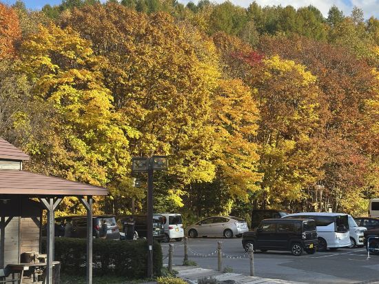 新富良野王子大飯店優惠