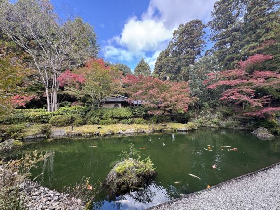 京都寶池皇家王子傲途格精選飯店優惠