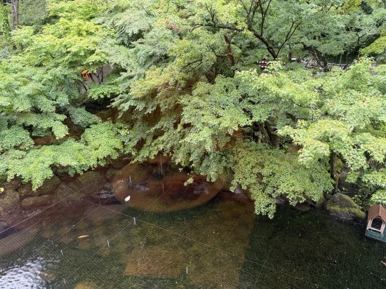 箱根湯本温泉 天成園 クーポン