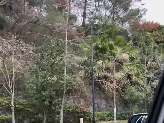 廣州從化温泉富力品銘度假別墅優惠