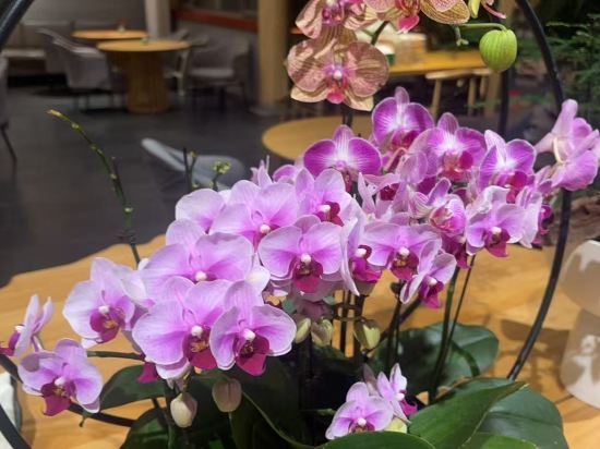 朗麗茲太和府飯店（北京生命科學園地鐵站店）優惠