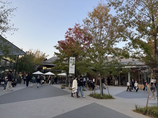 維也納國際飯店（杭州瓶窯良渚文化店）優惠