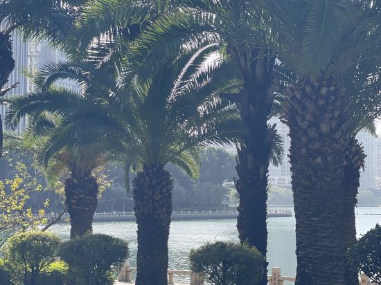 廈門濱北頤豪飯店（建業路地鐵站店）優惠