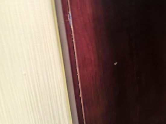 重慶兩江假日飯店優惠