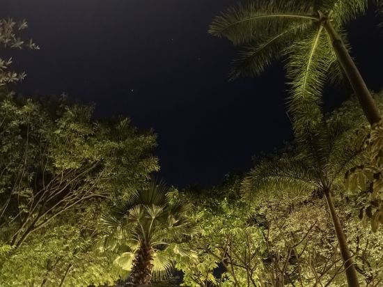 美林湖温泉大酒店優惠