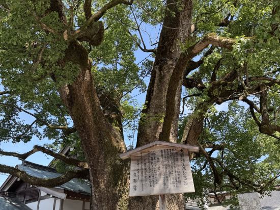 六妙溫泉湯日式旅館優惠