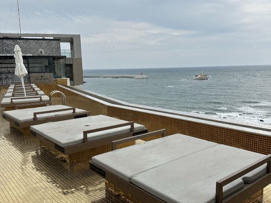 베스트루이스해밀턴호텔 오션테라스 쿠폰