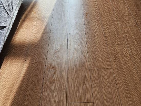 라마다 프라자 바이윈덤 돌산 여수 쿠폰