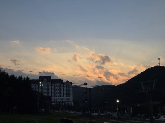 용평 리조트 쿠폰
