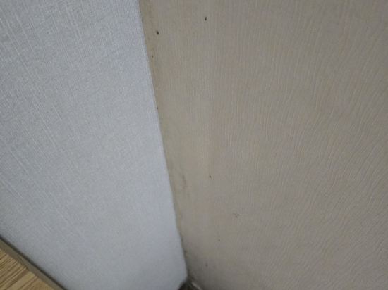 호텔마스타대천 쿠폰