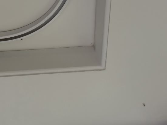 皇后鎮湖岸盛橡度假飯店優惠