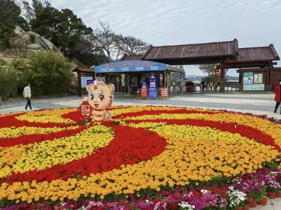 東山島領海網紅海景度假別墅優惠