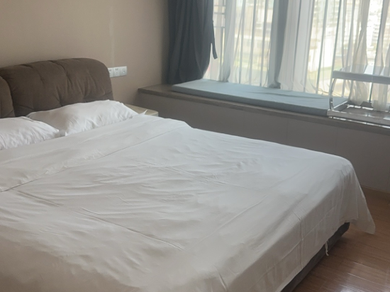 戴維斯LOFT國際公寓（深圳北站店）優惠